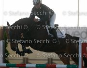 Dahila della Verdina TosTour2013- S4 6336 : Arezzo, Arezzo Equestrian Centre, Cavalli d'Italia, Dahila della Verdina, Toscana Tour 2013, foto di Stefano Secchi ©